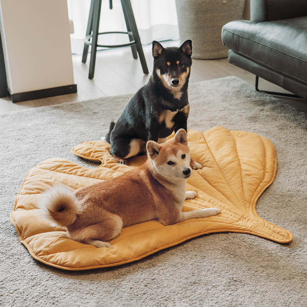 Large Dog Blanket Mat Pet Bed
