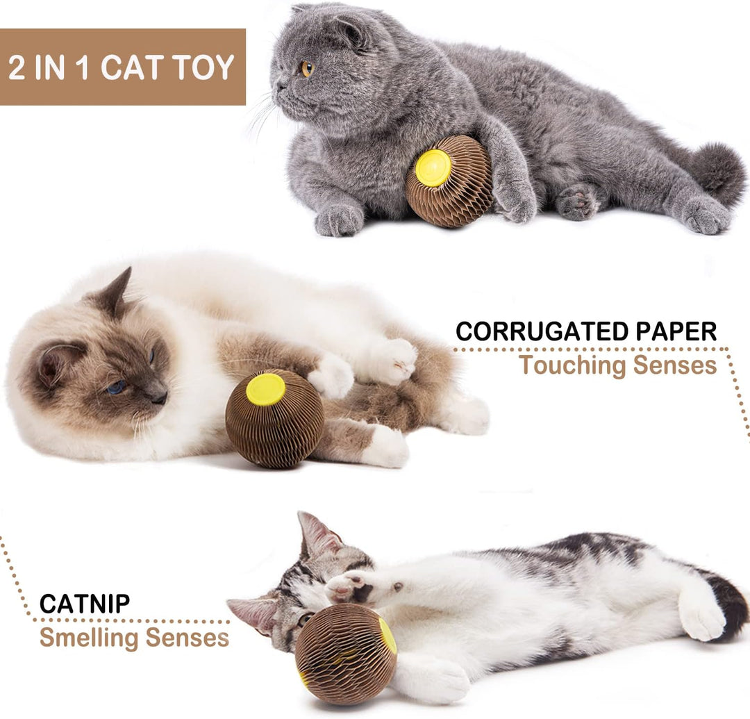 Catnip Ball Toy Refillable Scratching Ball for Cats