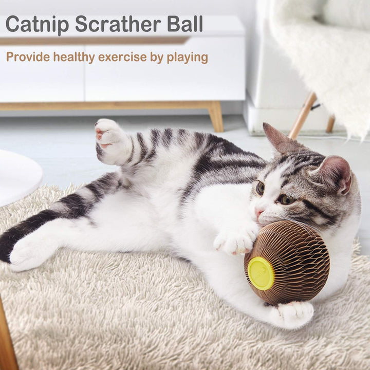 Catnip Ball Toy Refillable Scratching Ball for Cats