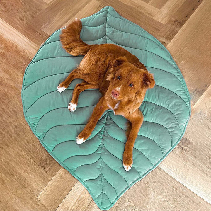 Large Dog Blanket Mat Pet Bed